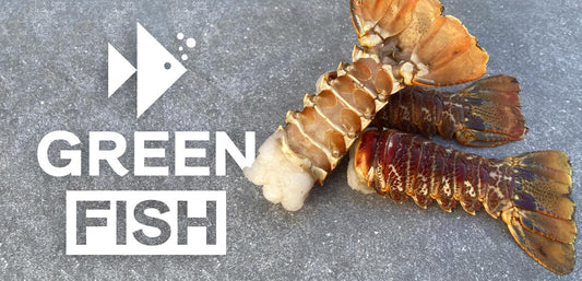 Catch of the Day #029