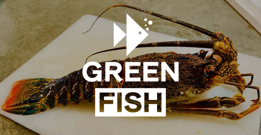 Catch of the Day #034