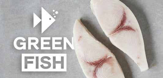 CATCH OF THE DAY #008