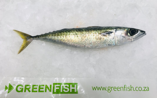 Don’t get caught online with Freshly Frozen - What no one wants to tell you.