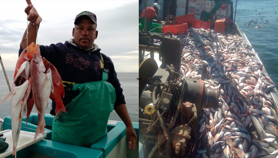 Small Scale Vs Industrial Fishing Methods & Why they are not Equal.