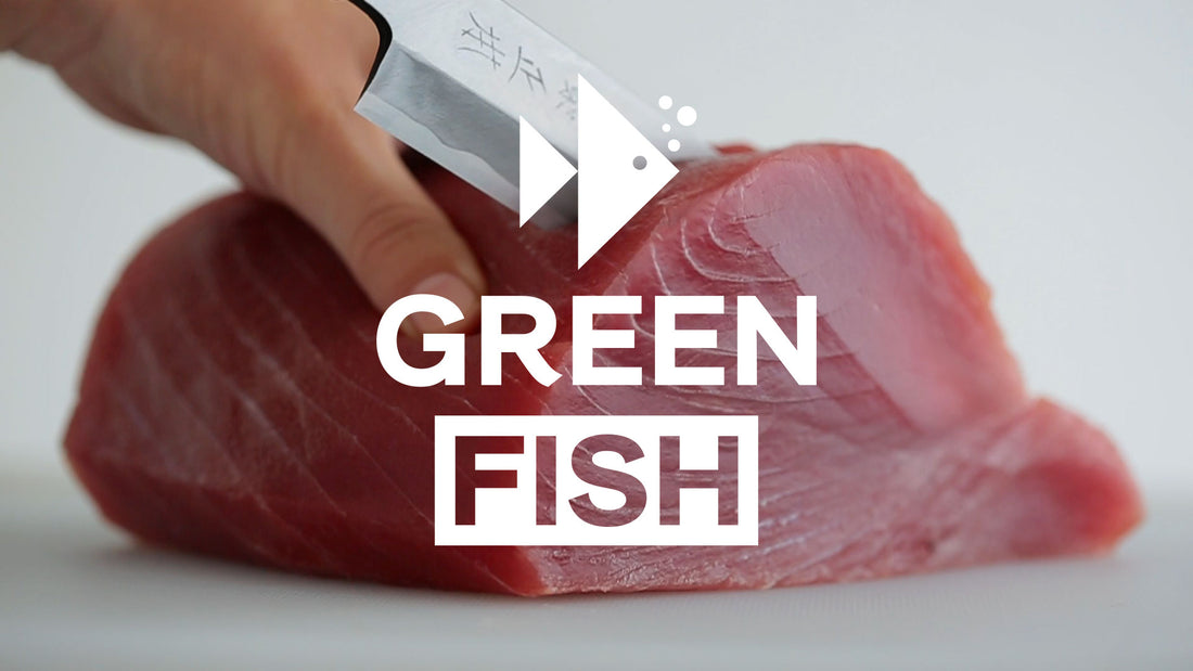 CATCH OF THE DAY #005