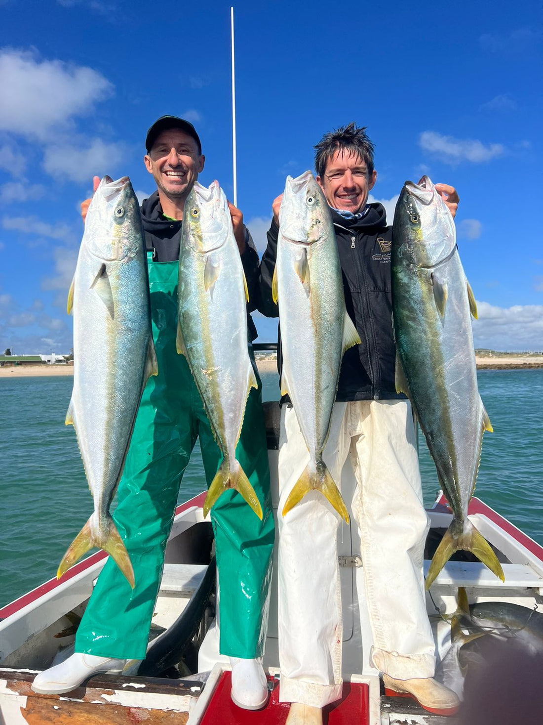 Explore the fascinating world of two oceanic superstars: yellowtail and yellowfin tuna!