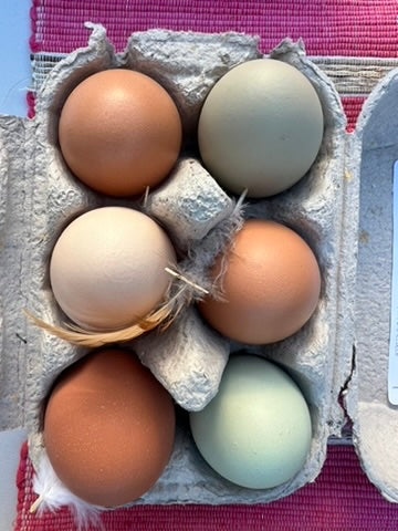 Lily's Free Range Chicken Eggs | Fresh box | 18x Medium Fresh Eggs