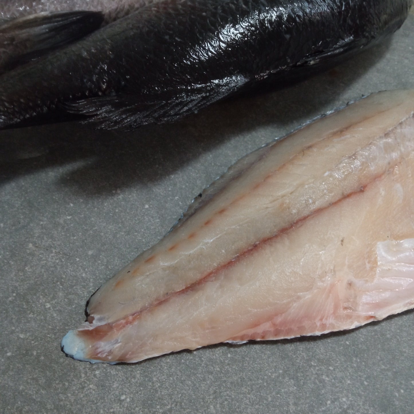 Sea Bass Fillets | Frozen Box | Cultivated | 4 x 400g