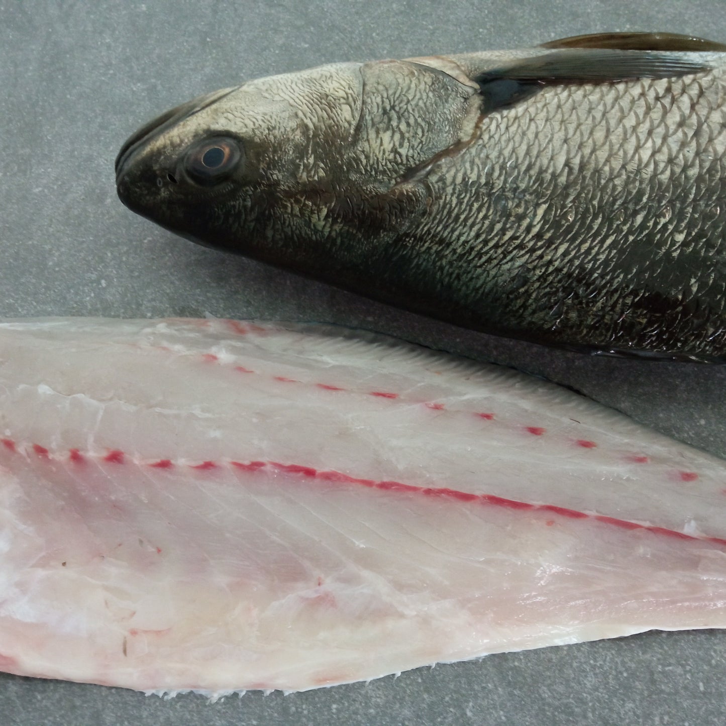 Kabeljou Fillets | Fresh Fish Box | Cultivated