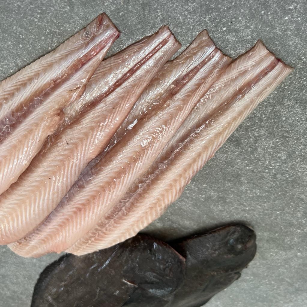 West Coast Sole | Frozen Box | Wild caught | x4