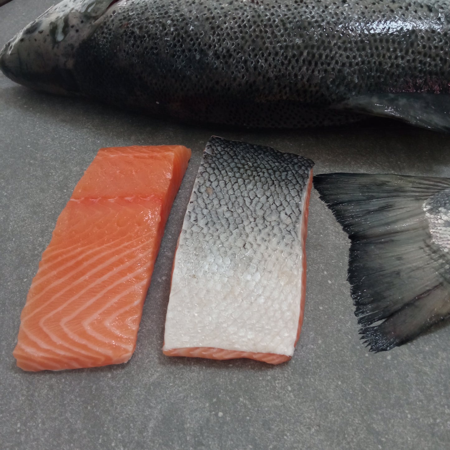 Norwegian Salmon | Portion Frozen Box | Skin pack Portion Range | 2 x 200g