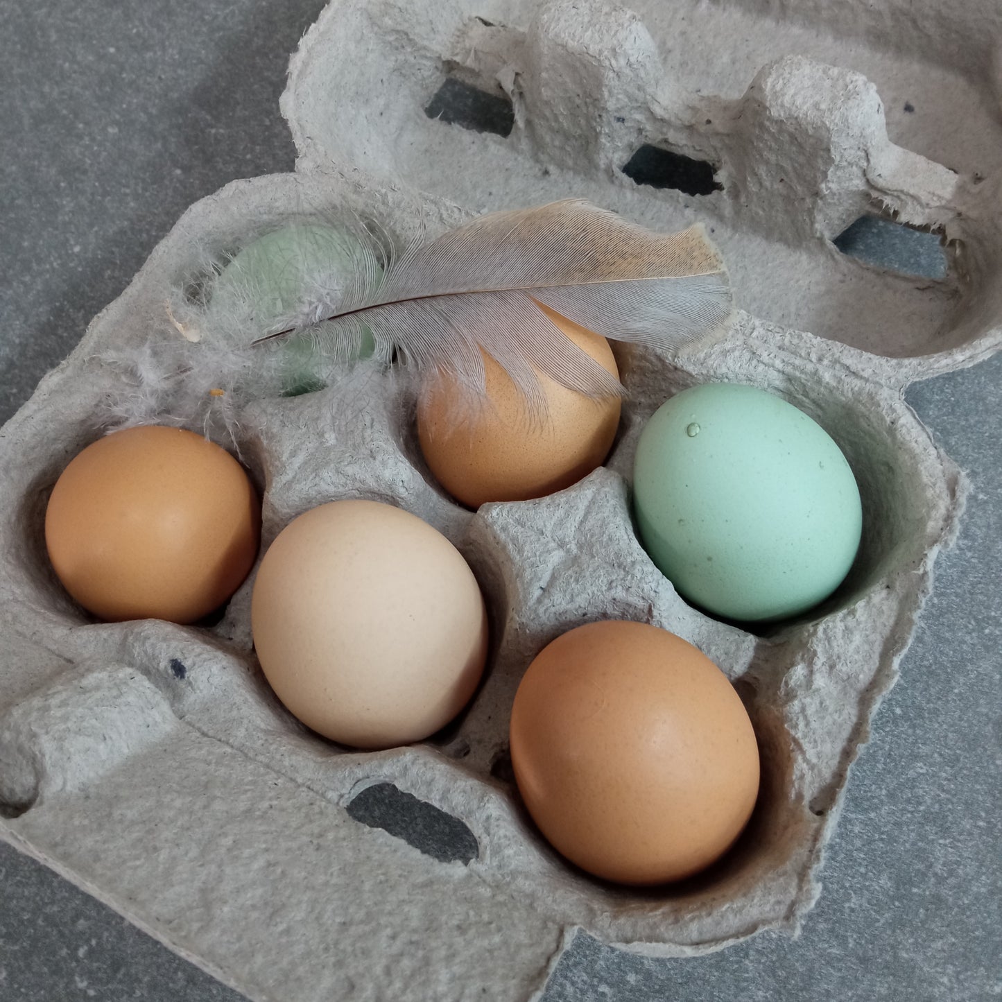 Lily's Free Range Chicken Eggs | Fresh box | 18x Small Fresh Eggs
