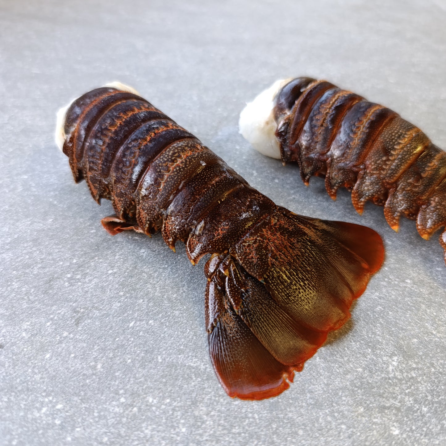 East Coast Spiny Lobster Tails | Small | Frozen Box | Wild Caught | x14