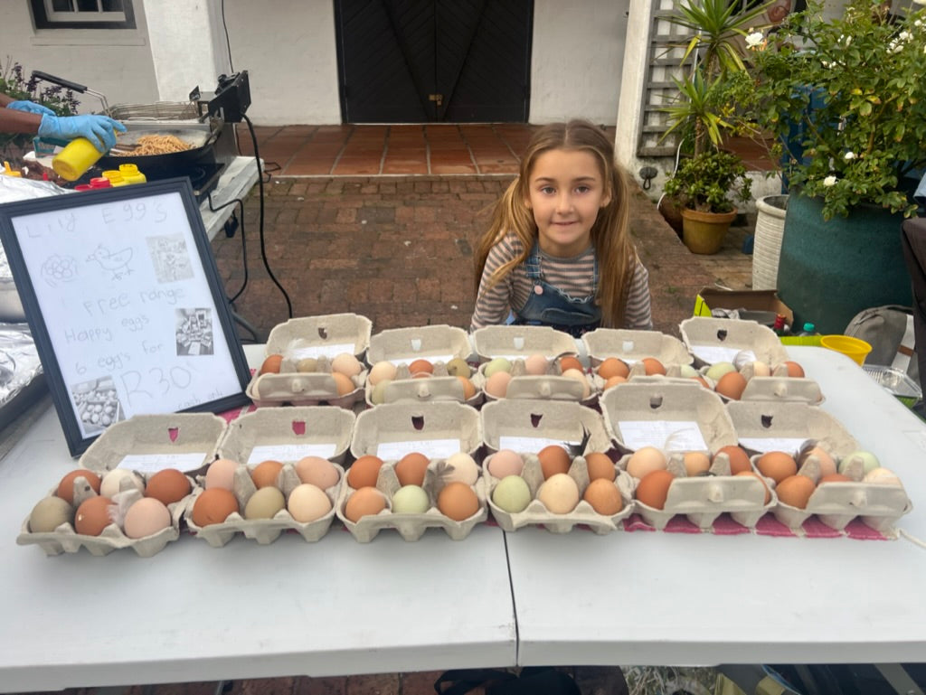 Lily's Free Range Chicken Eggs | Fresh box | 18x Medium Fresh Eggs