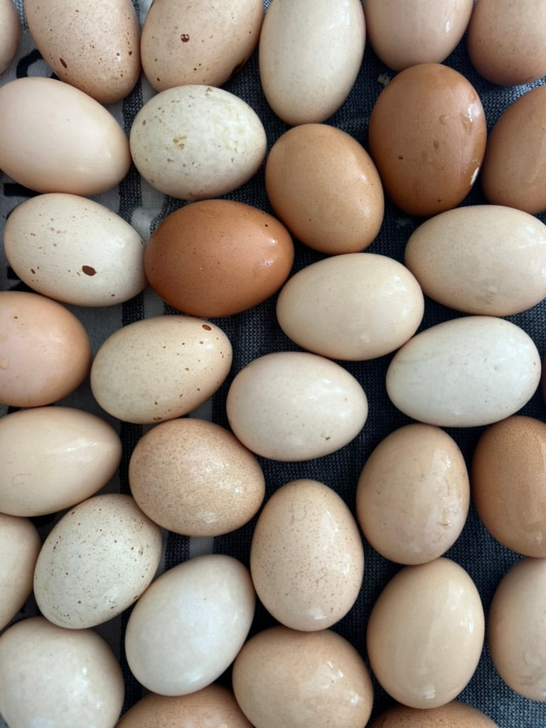 Lily's Free Range Chicken Eggs | Fresh box | 18x Medium Fresh Eggs