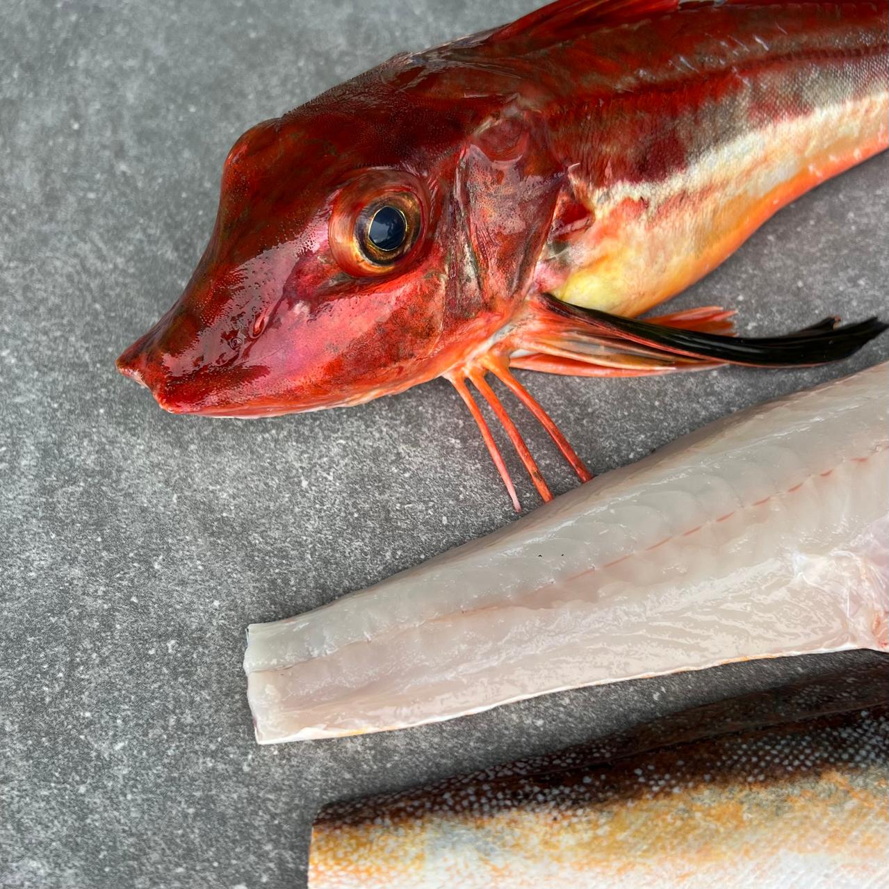 Cape Gurnard Fillets | Fresh Fish Box | Caught off Cape Point
