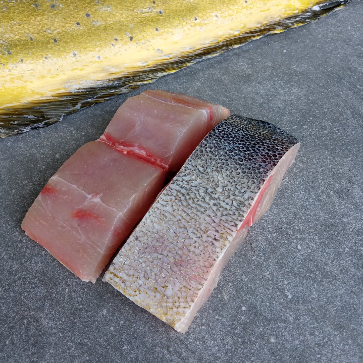 Dorado Steaks | Portion Frozen Box | Skin pack Portion Range | 2 x 200g