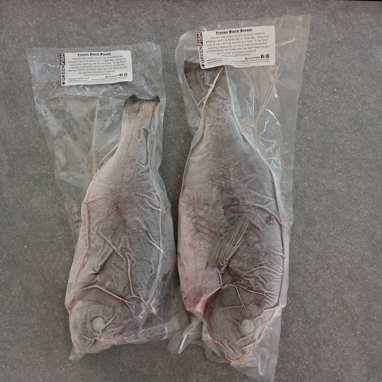 Cape Bream | Fozen Box | Caught in Table Bay