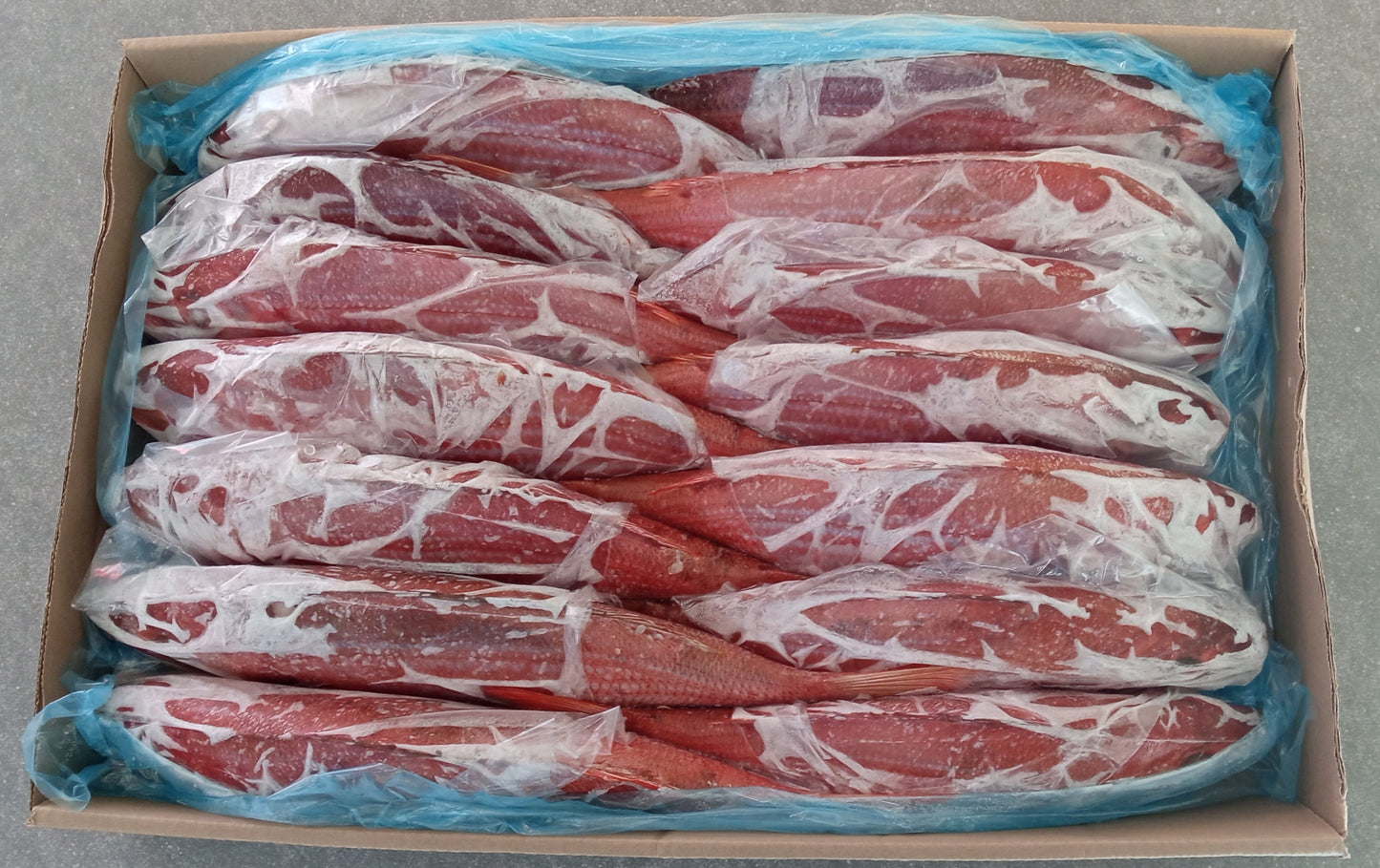Silver Fish | Frozen Bulk Box | Caught in Struisbaai