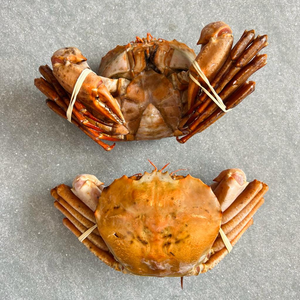 Namibian Orange Crab | Frozen box | Wild caught | x4