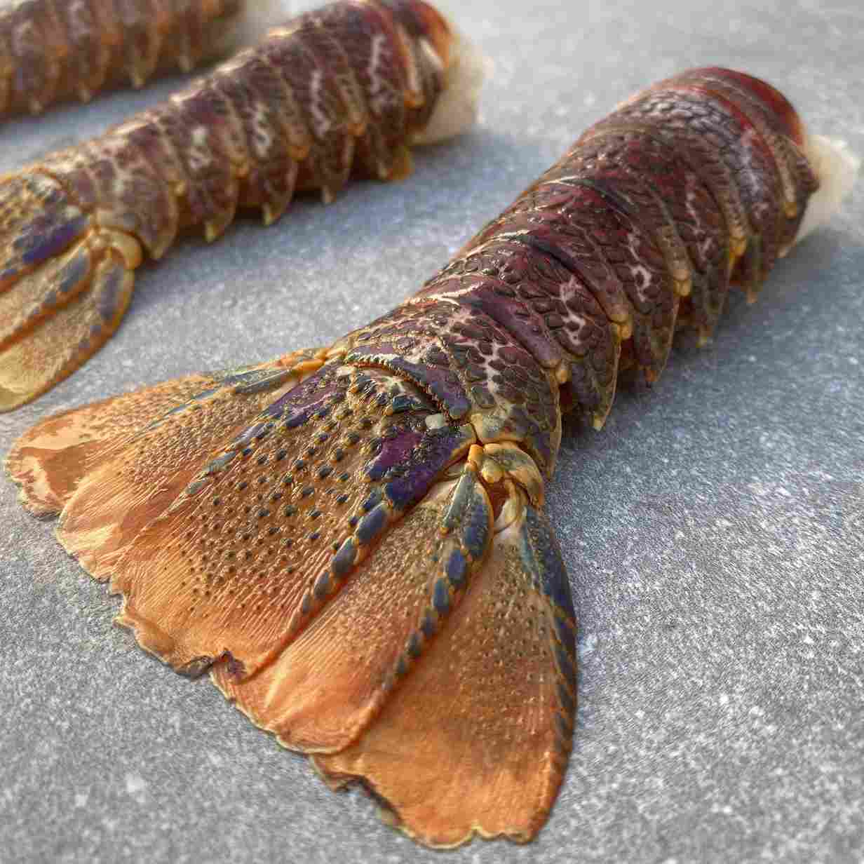 Crayfish Tails | Regular | Frozen Box | Wild Caught | x12