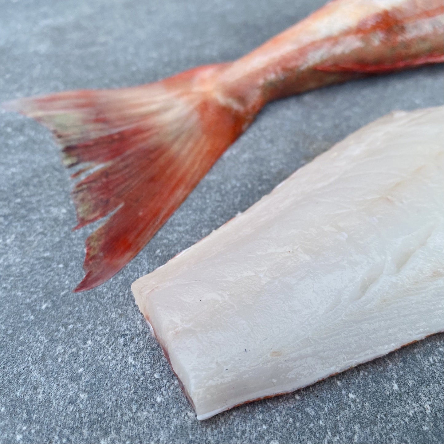Cape Gurnard Fillets | Fresh Fish Box | Caught off Cape Point