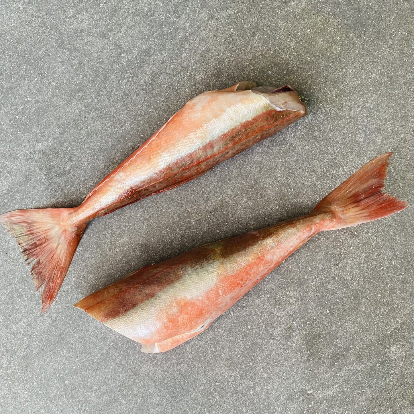 Cape Gurnard Fillets | Fresh Fish Box | Caught off Cape Point