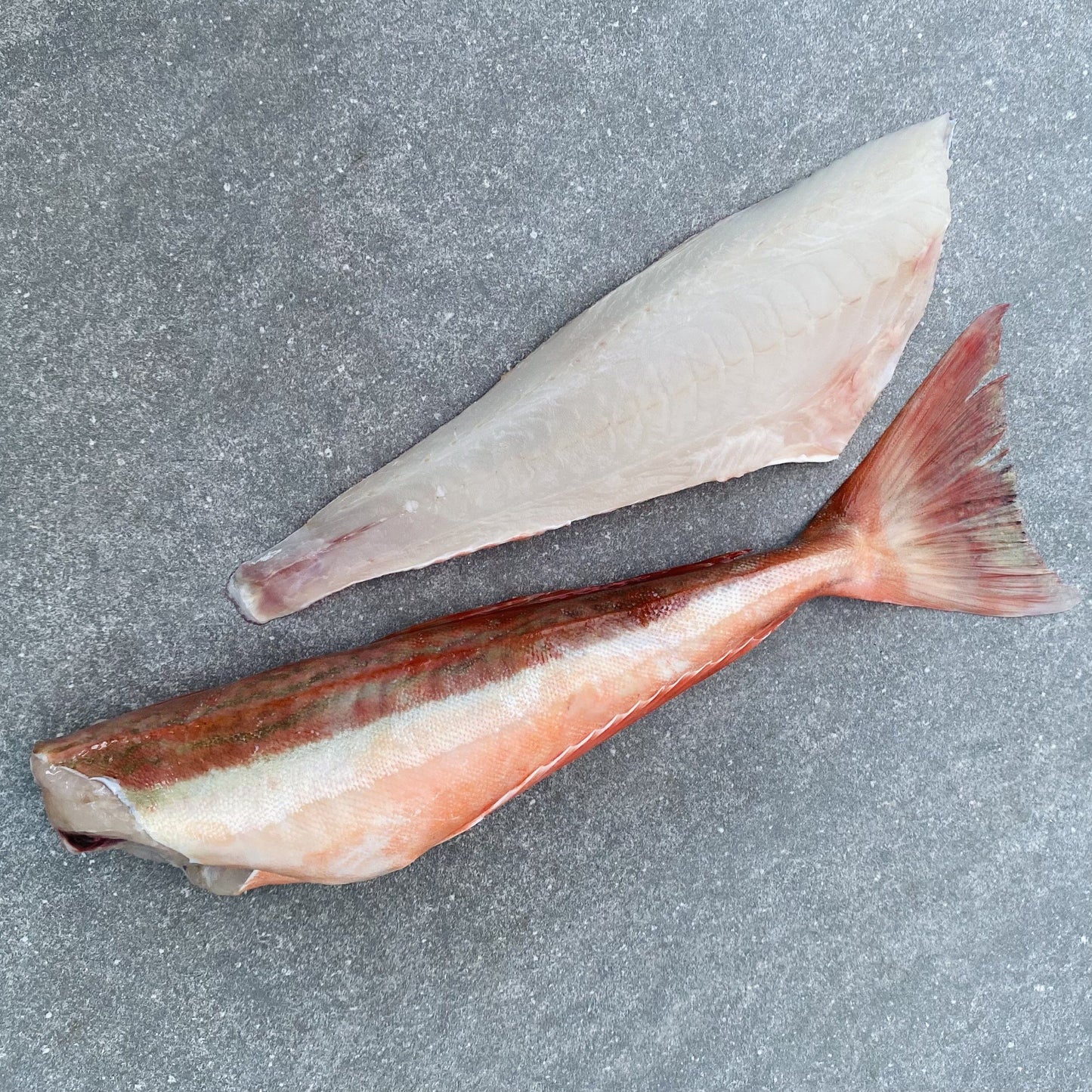 Cape Gurnard Fillets | Fresh Fish Box | Caught off Cape Point