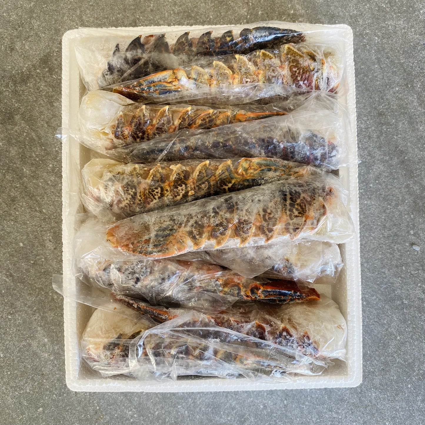 Crayfish Tails | Large | Frozen Box | Wild Caught | X10