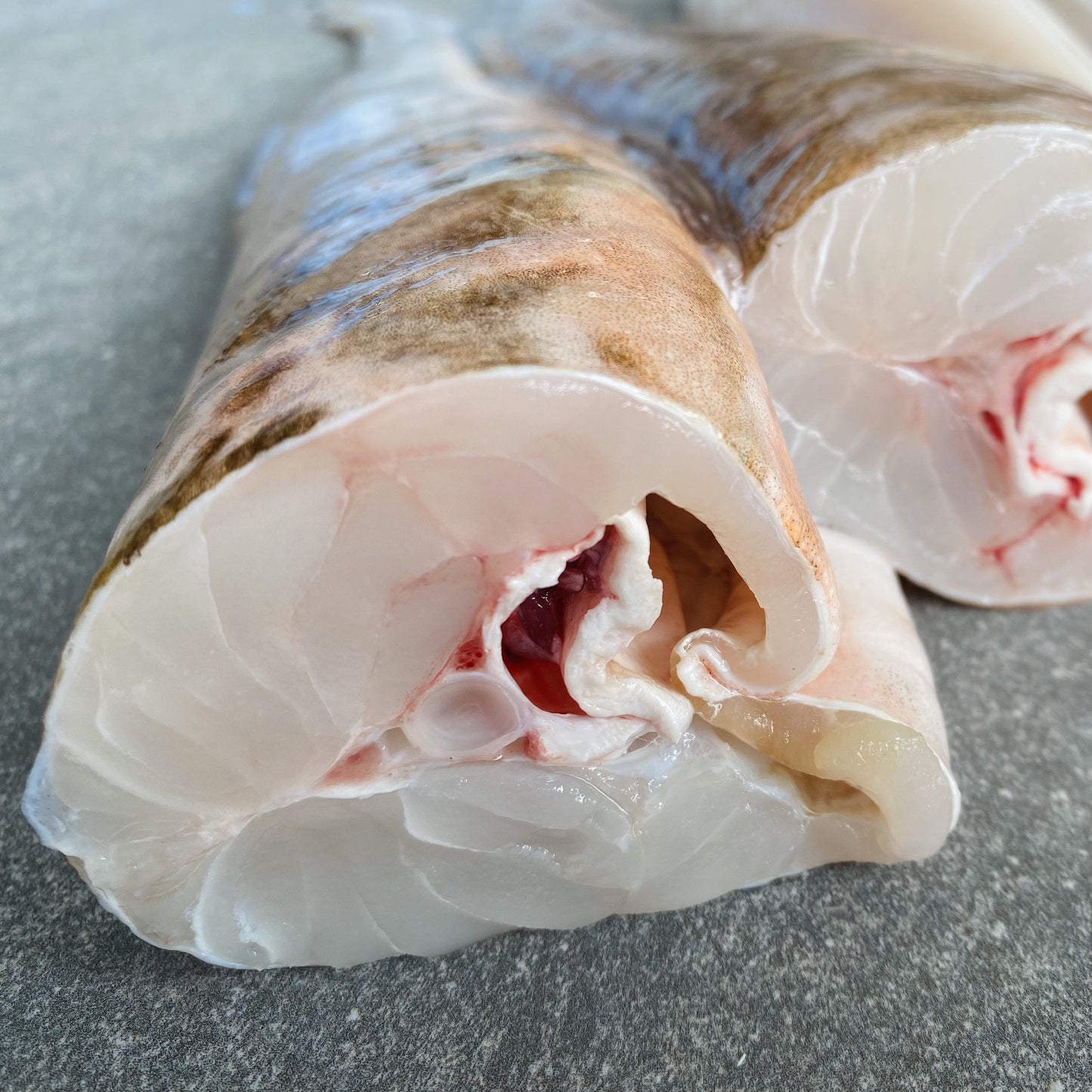 Dressed Baby Kingklip | On The Bone | X4 | Caught Off Cape Point