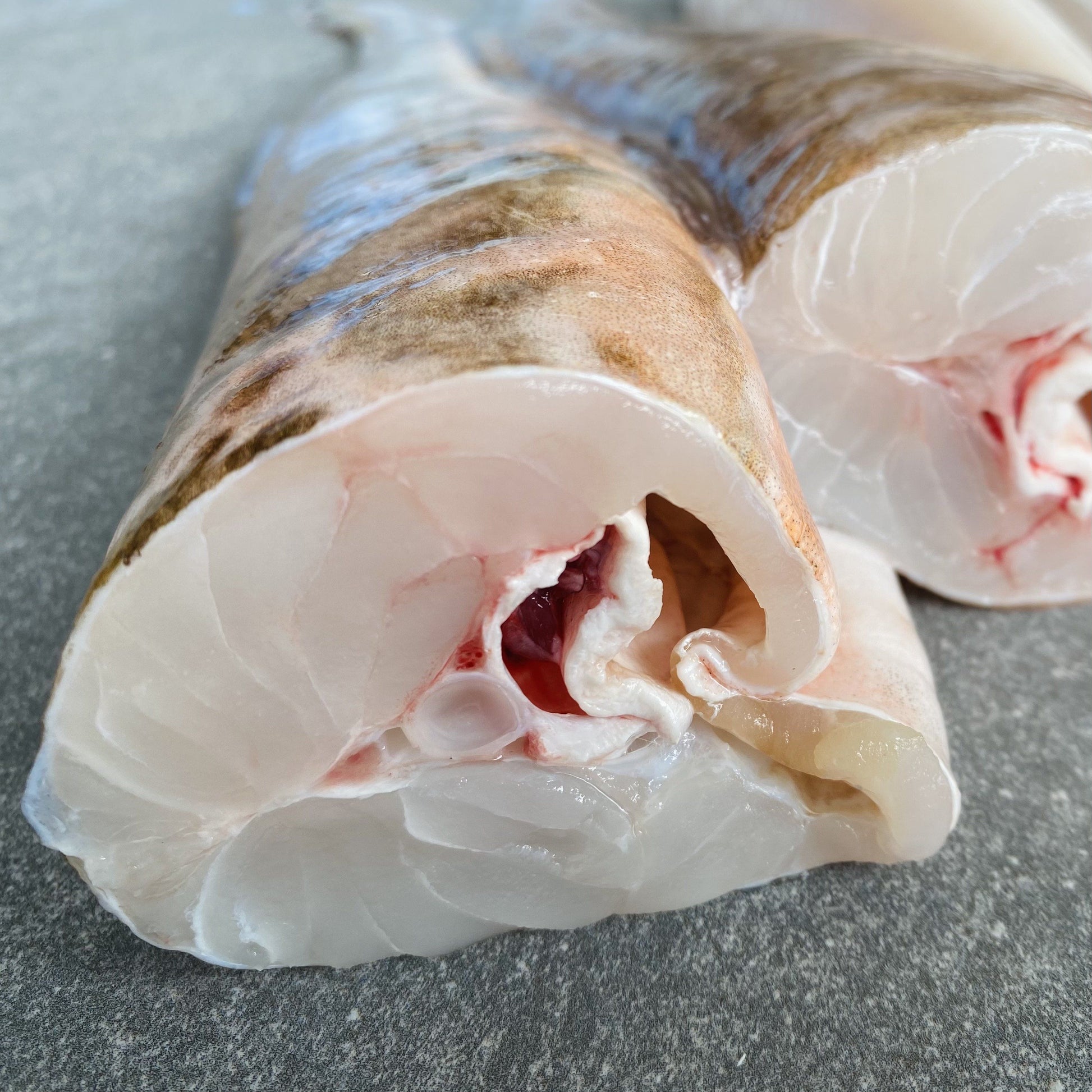 Dressed Baby Kingklip | On The Bone | X4 | Caught Off Cape Point