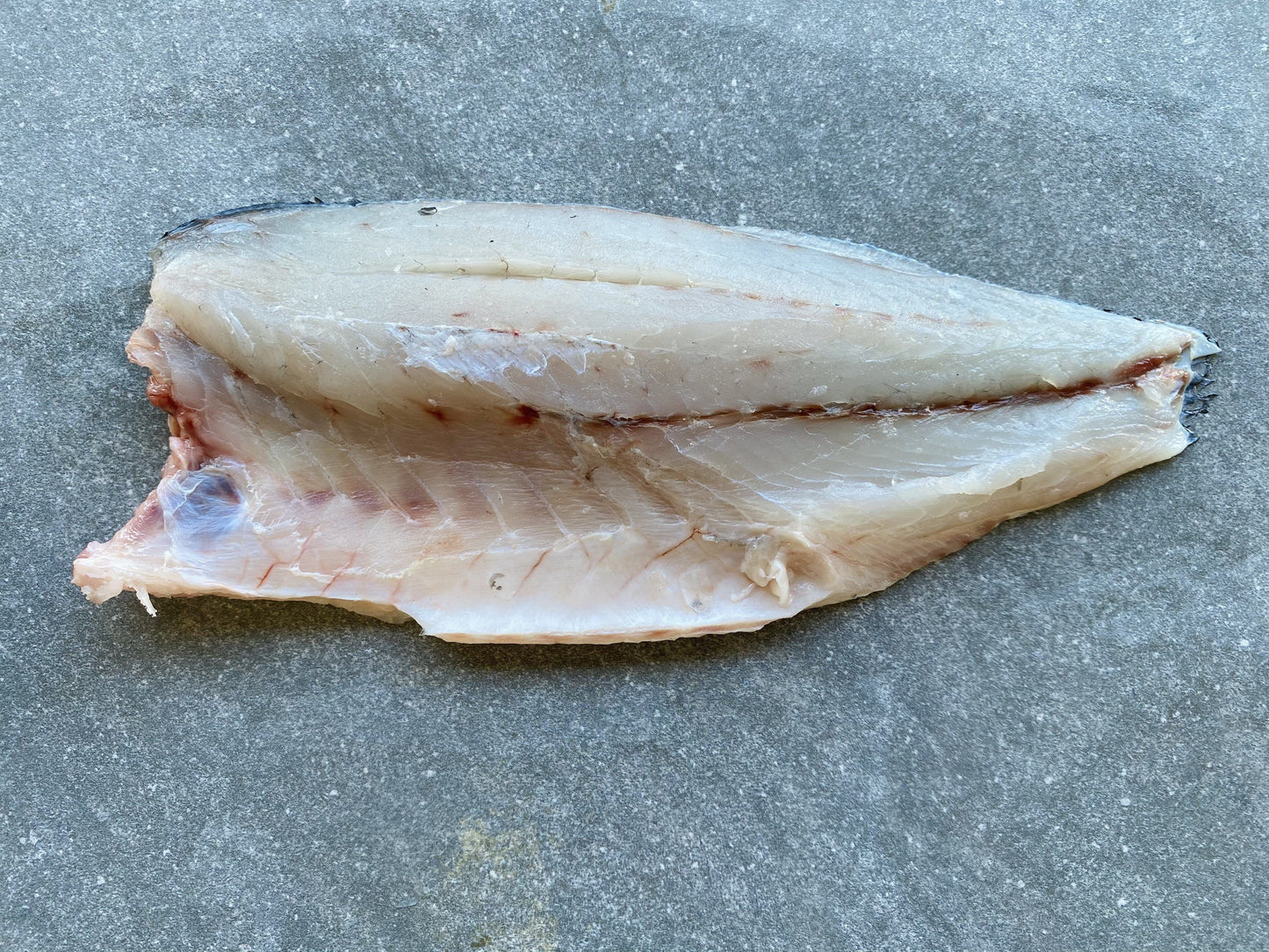 Greenfish