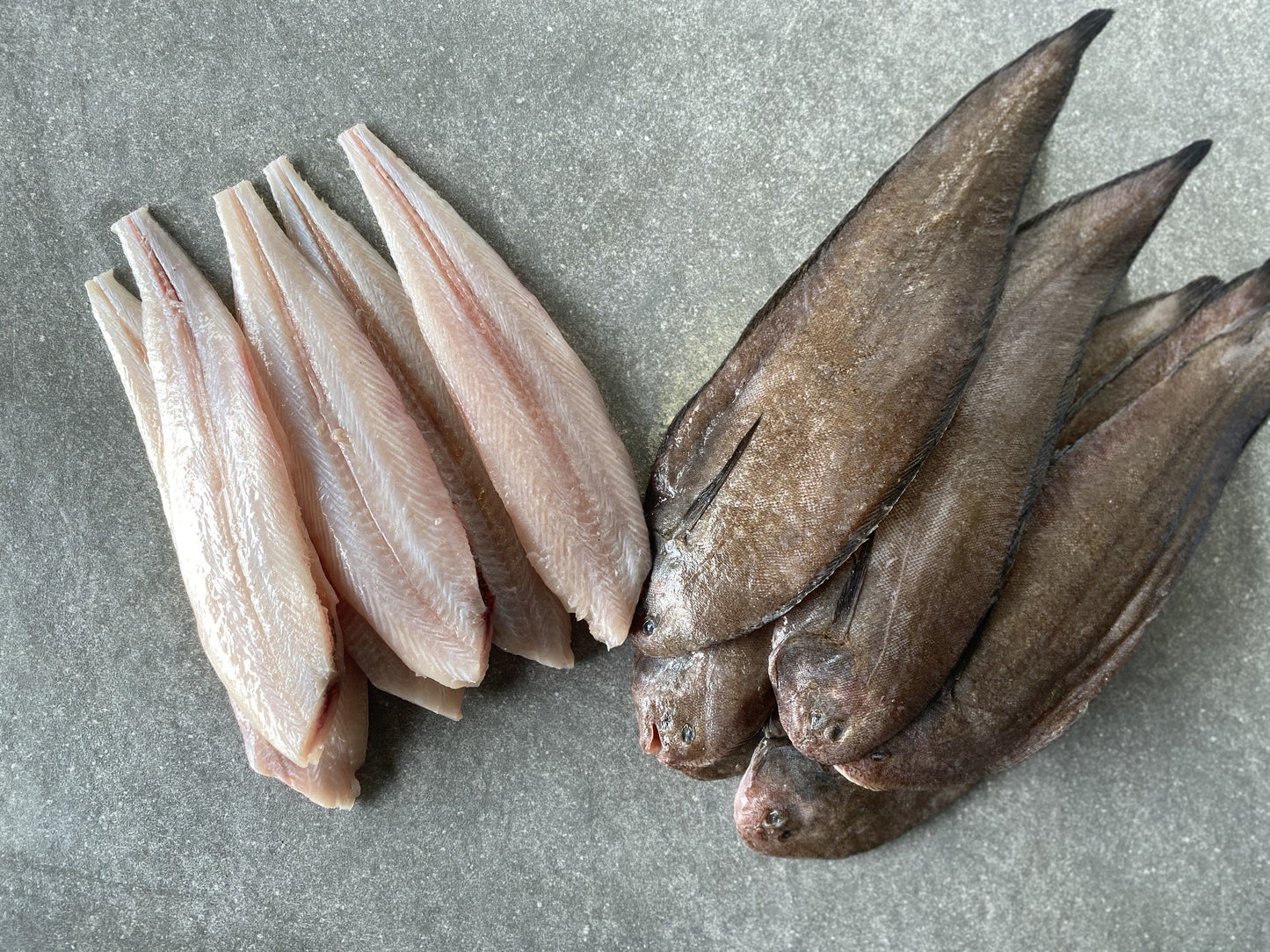 Greenfish