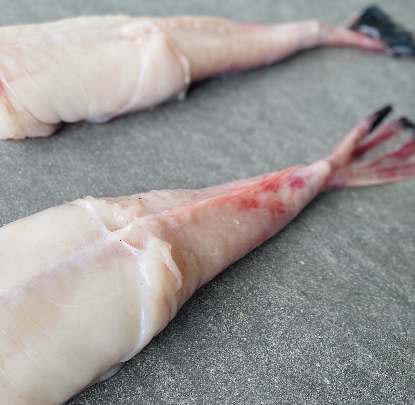 Frozen Box | Monk Fish Tails | X4 | Caught Off Cape Point