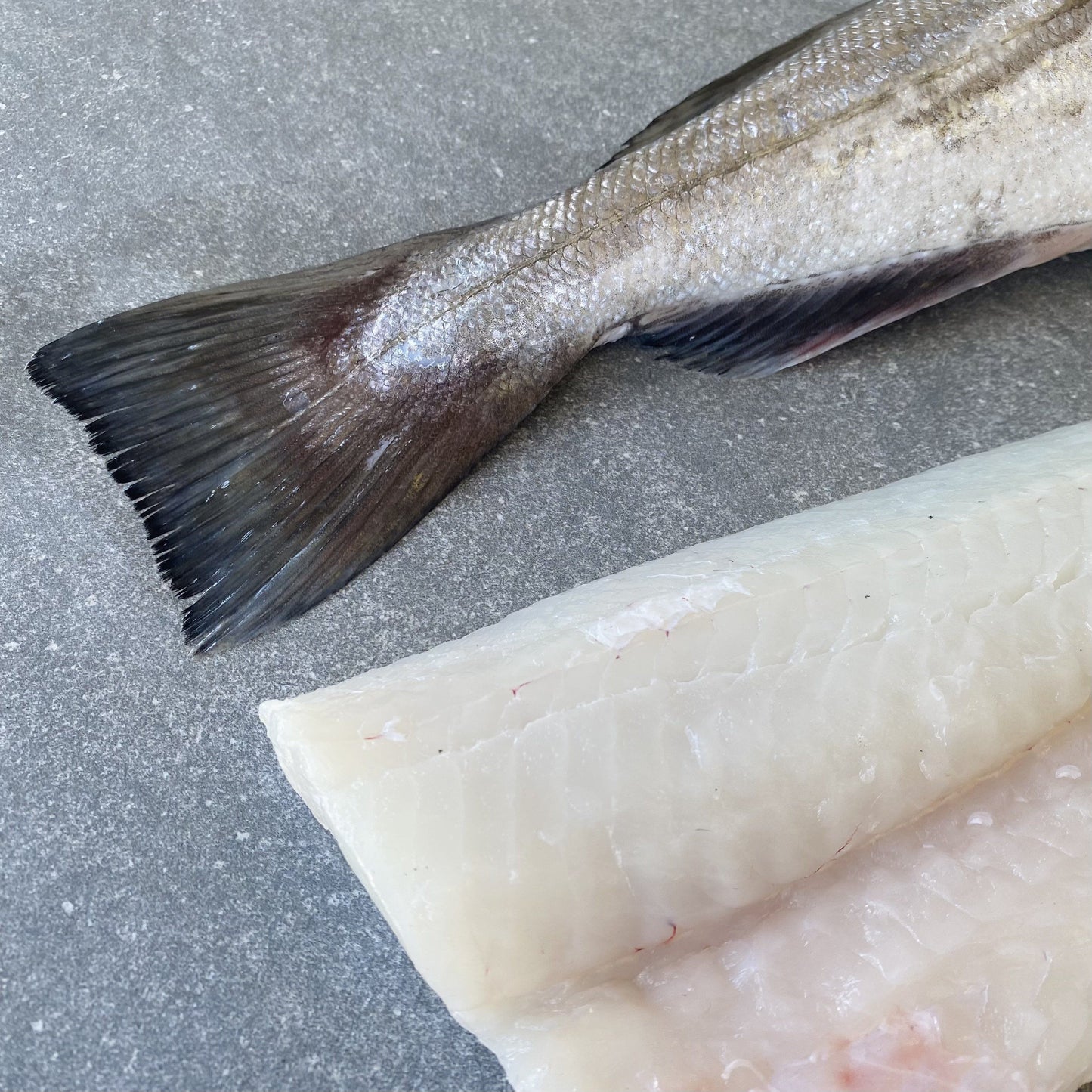 Hake Fillets | Fresh Box | 1.5kg | Caught Off Cape Point