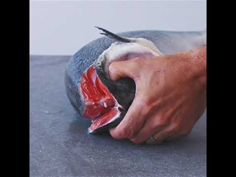 Norwegian Salmon Fillet | Fresh Fish Box | Cultivated | 2kg