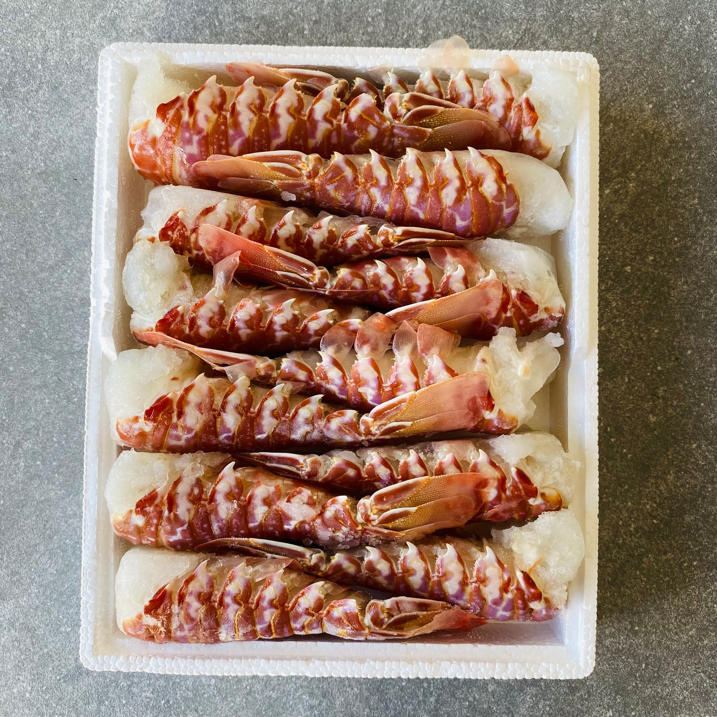 Lobster Tail Box | Deep Water Crayfish Tails | x12