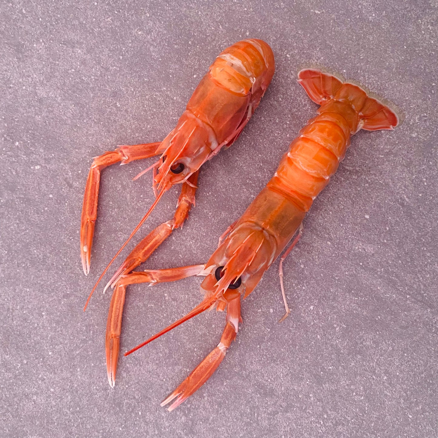 Langoustine Box | Large | 1.7kg | Frozen box | Caught off Durban