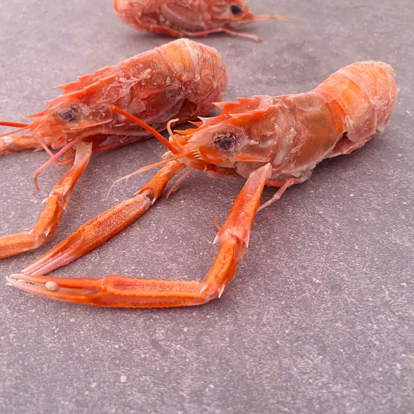 Langoustine Box | Large | 1.7kg | Frozen box | Caught off Durban