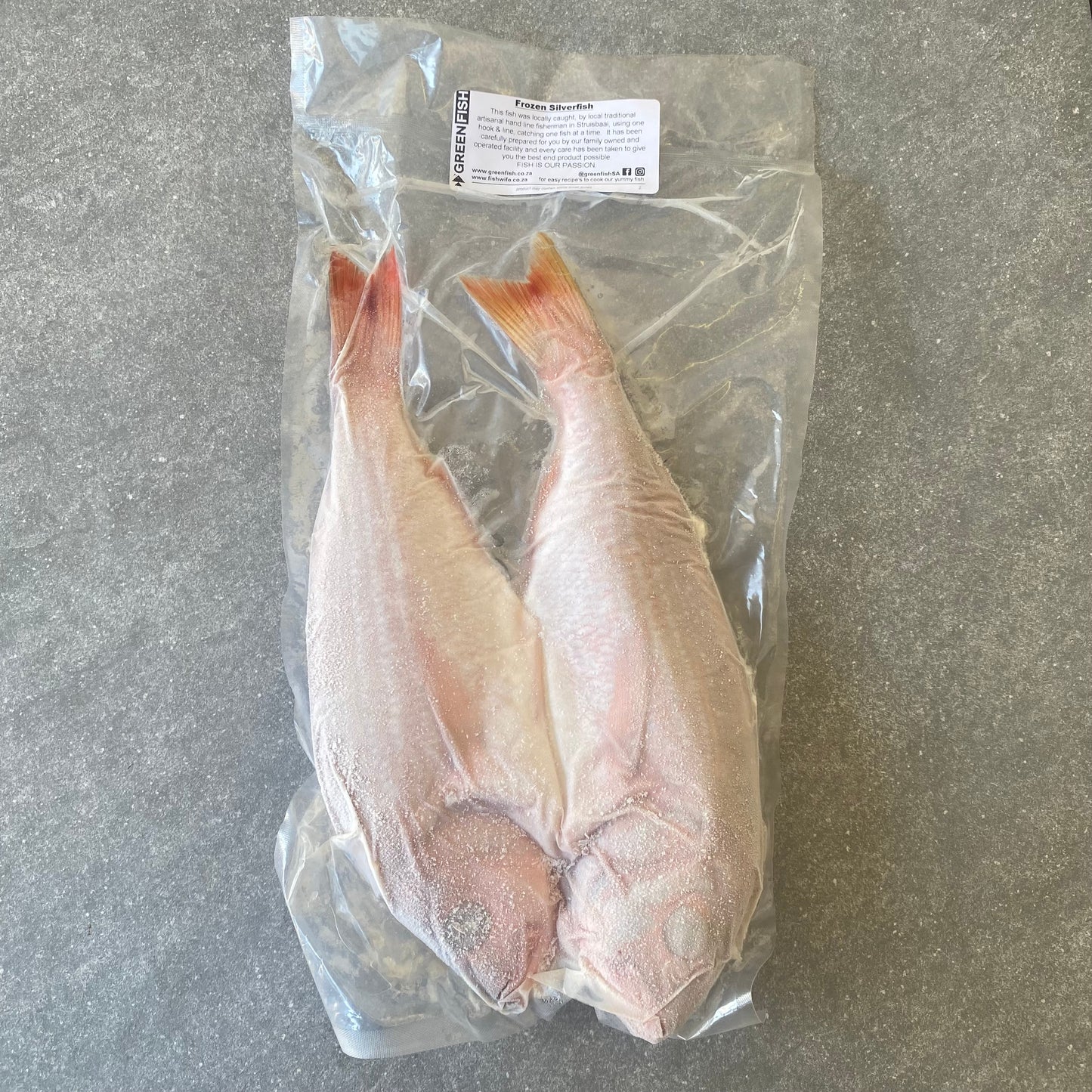 Silver Fish | Frozen Box | Caught in Struisbaai