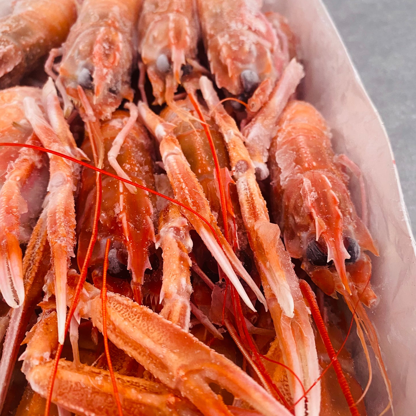 Langoustine Box | Large | 1.7kg | Frozen box | Caught off Durban