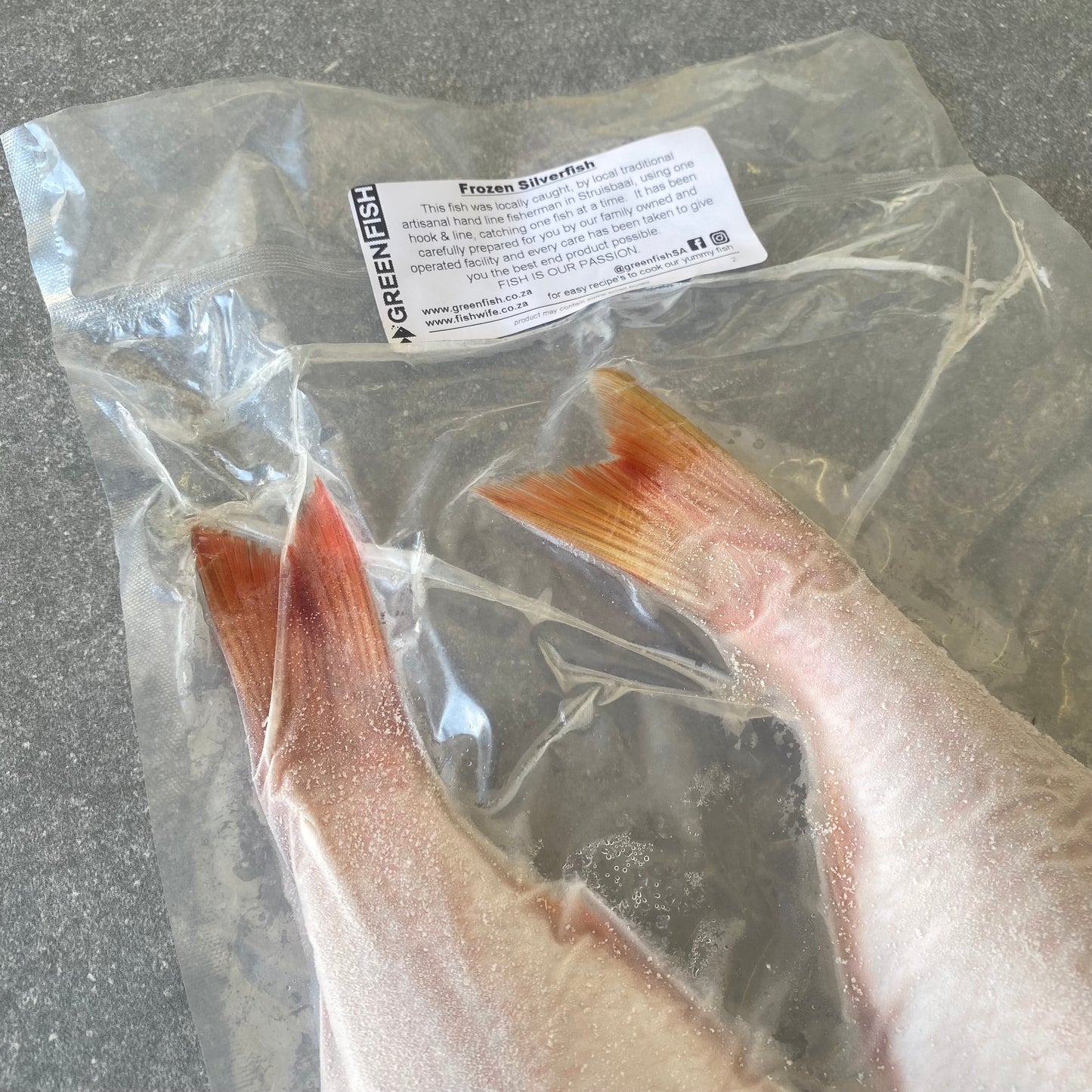 Silver Fish | Frozen Box | Caught in Struisbaai