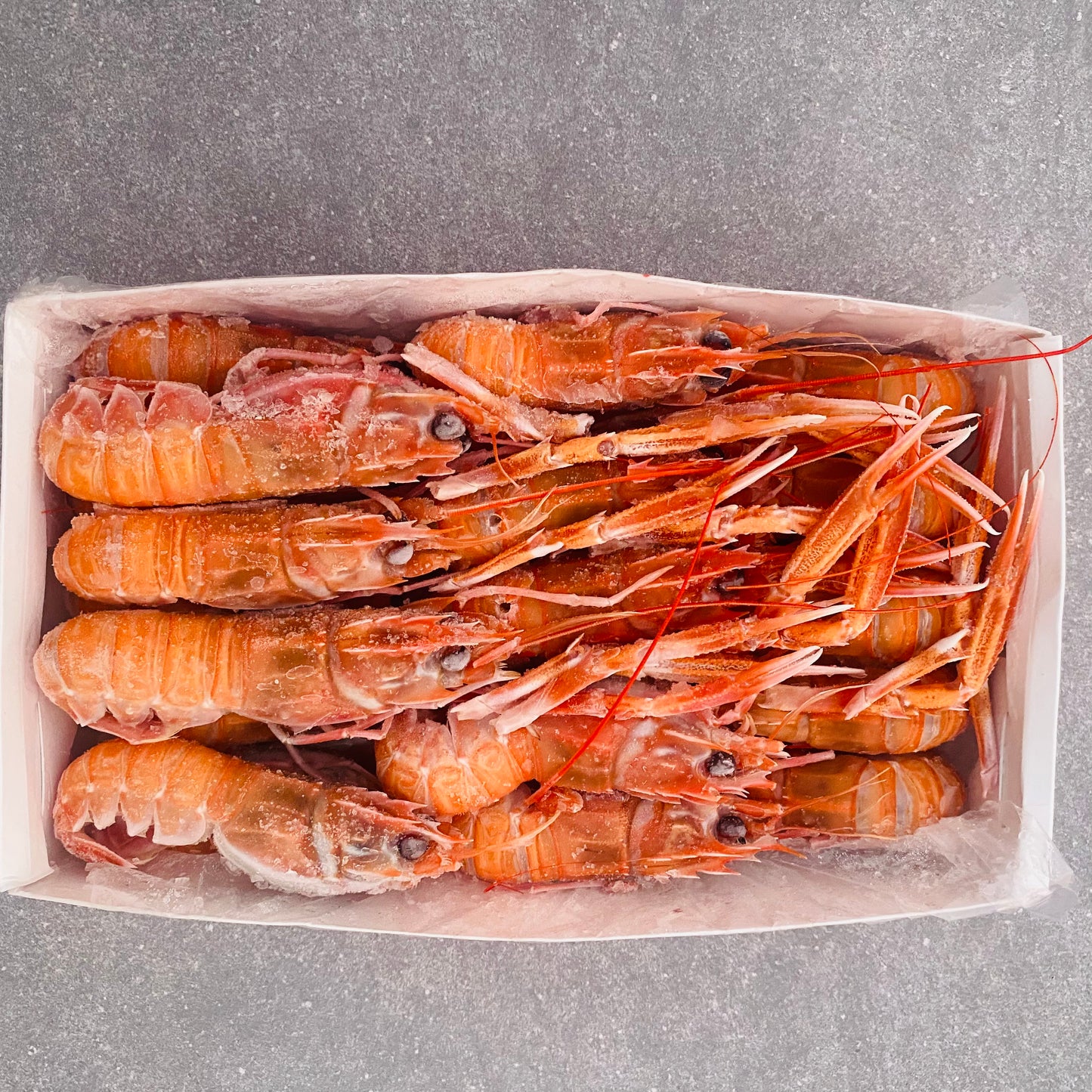 Langoustine Box | Large | 1.7kg | Frozen box | Caught off Durban