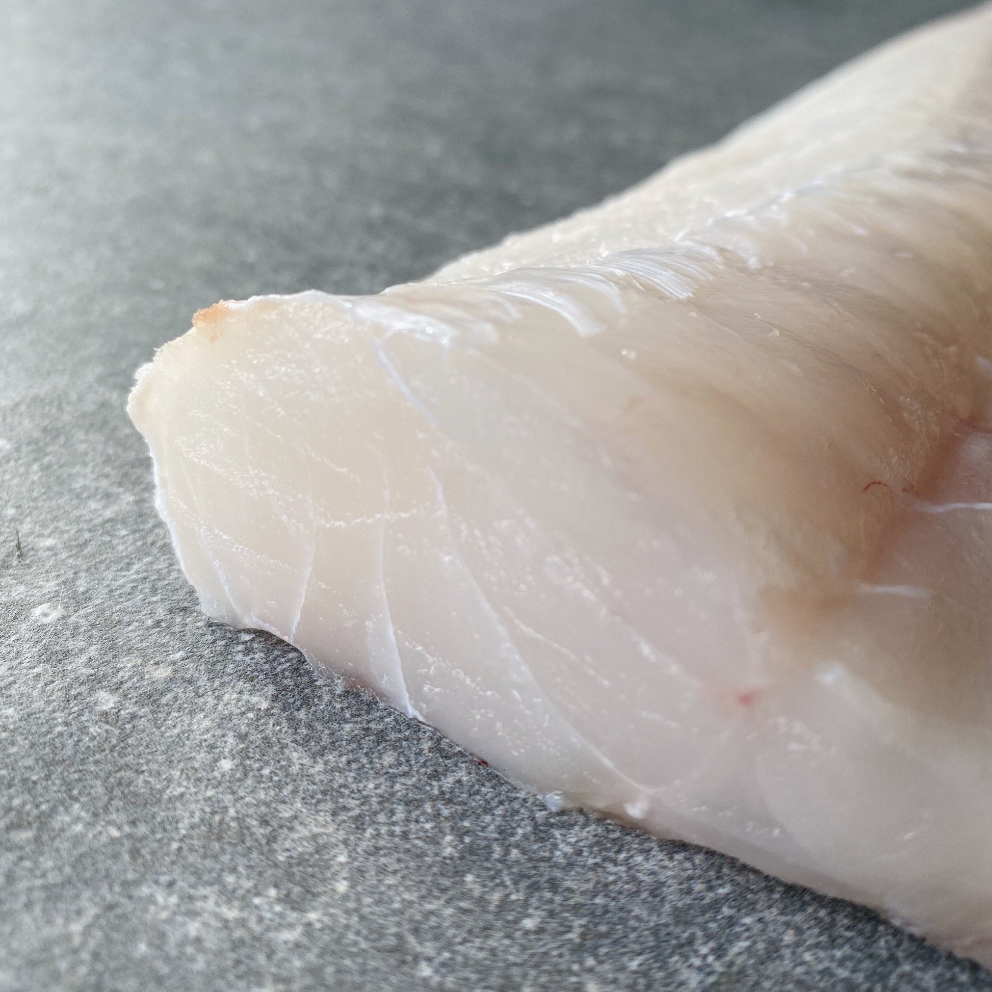 Greenfish