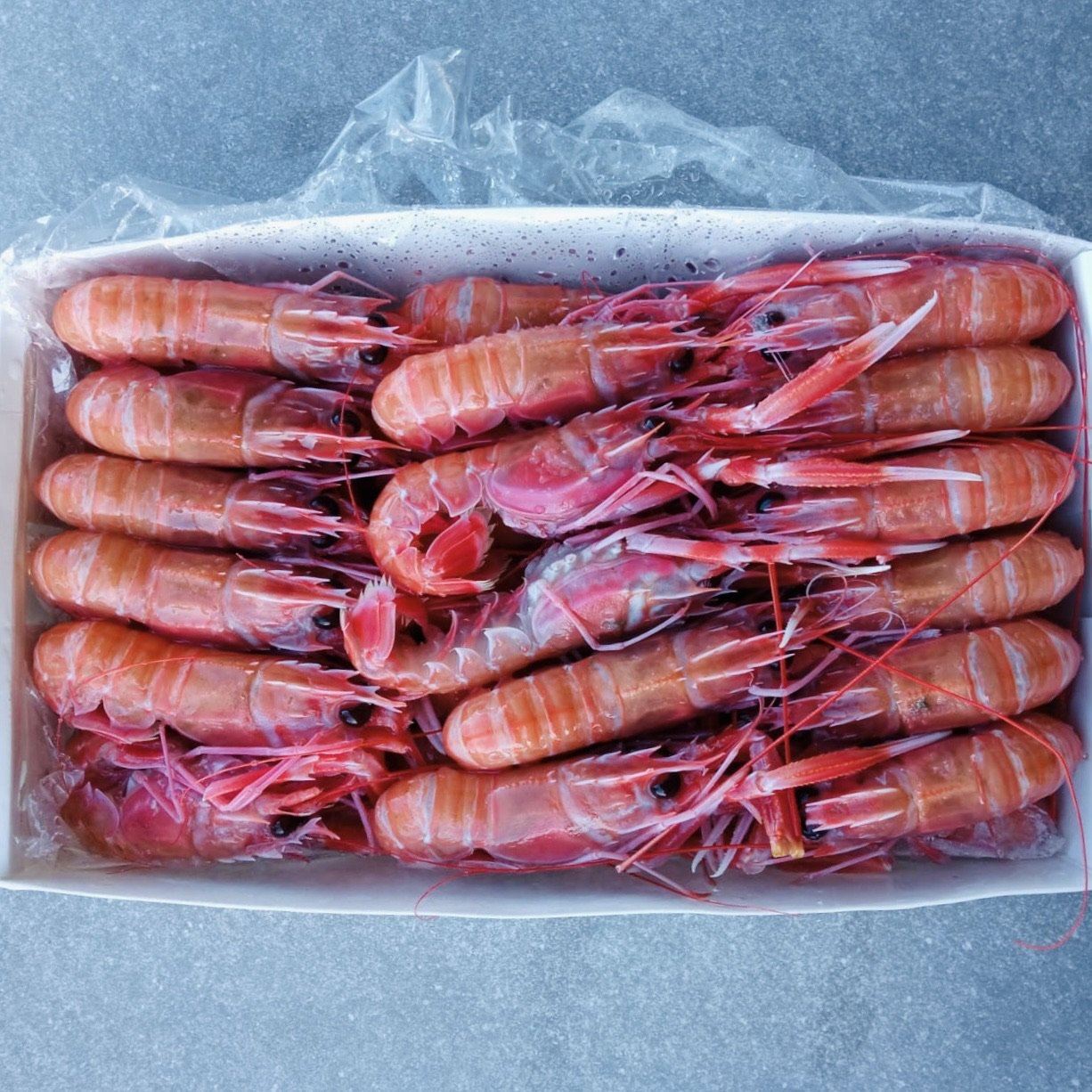 Langoustine Box | Small | 1.7kg | Caught Off Durban