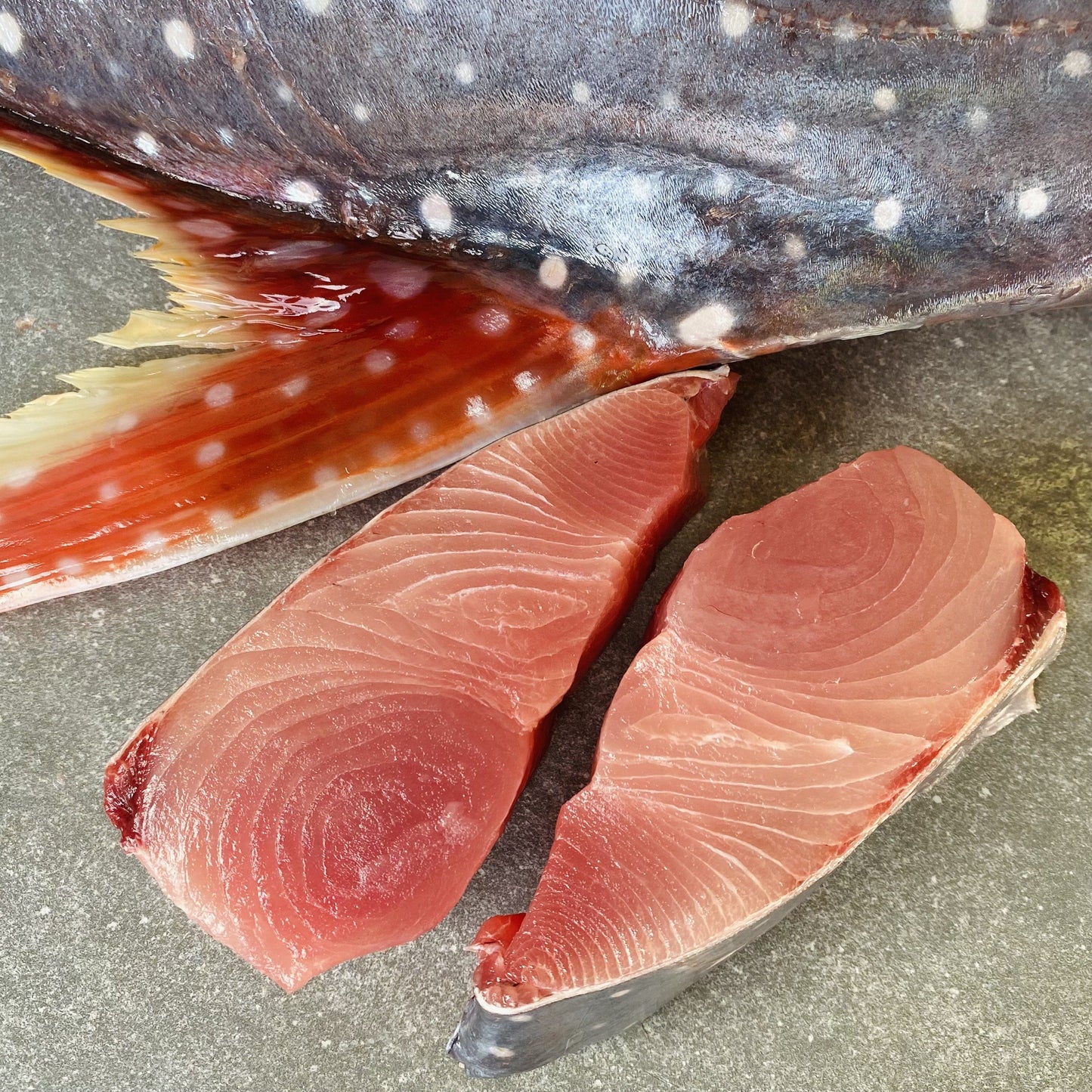 Moonfish Steaks | Opah | Fresh Box | Wild Caught