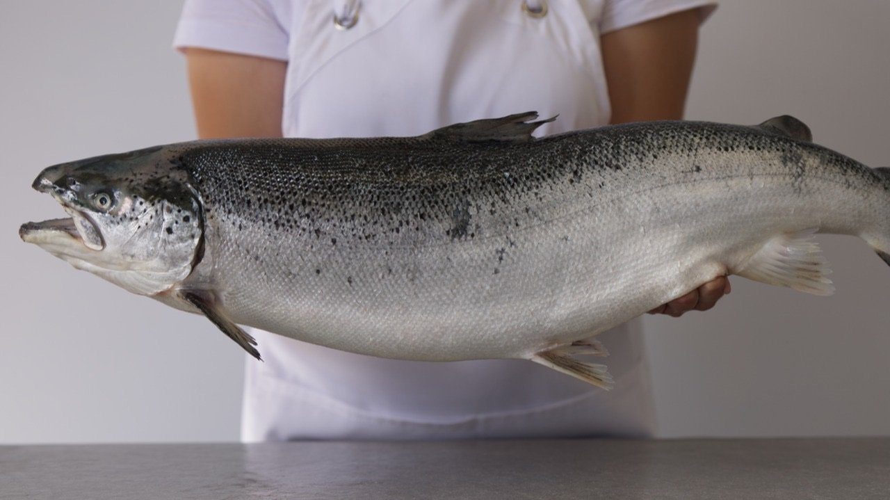 Organic Salmon Fillet | Fresh Box | Cultivated | 2kg