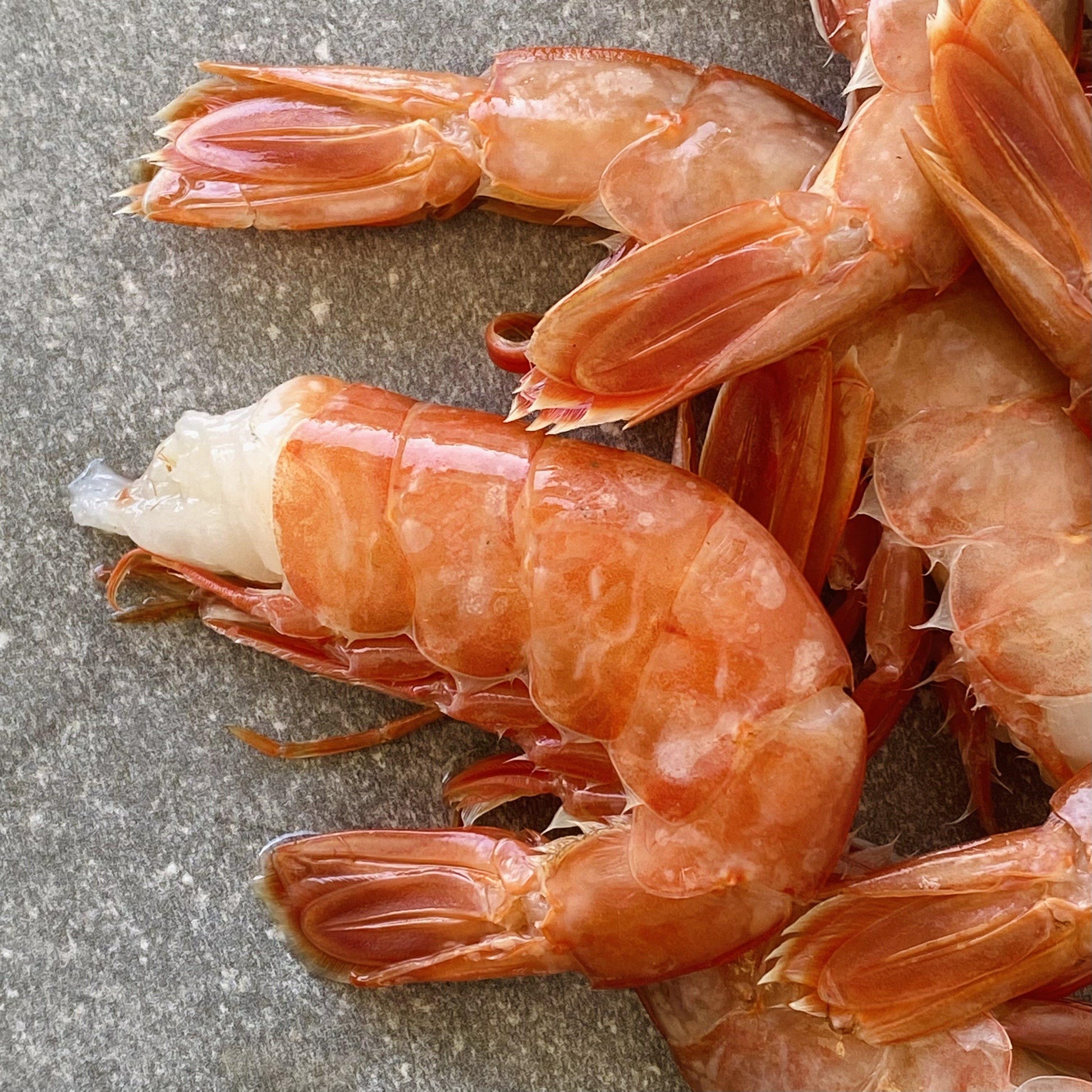 Prawn Tails | Frozen Box | Wild Caught | 1kg
