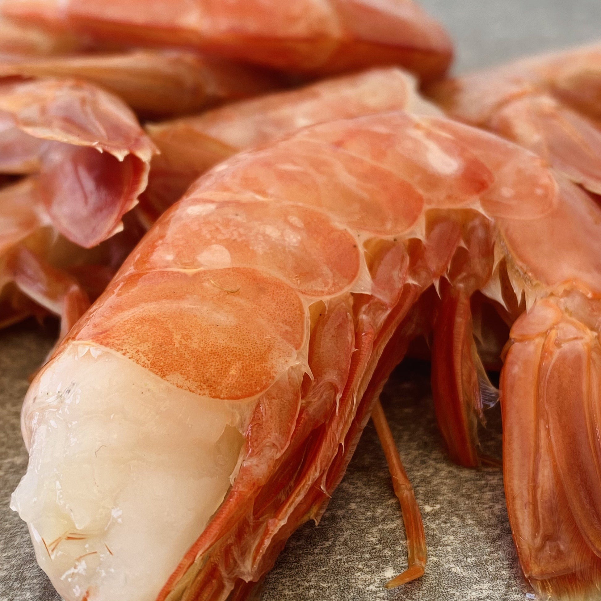 Prawn Tails | Frozen Box | Wild Caught | 1kg