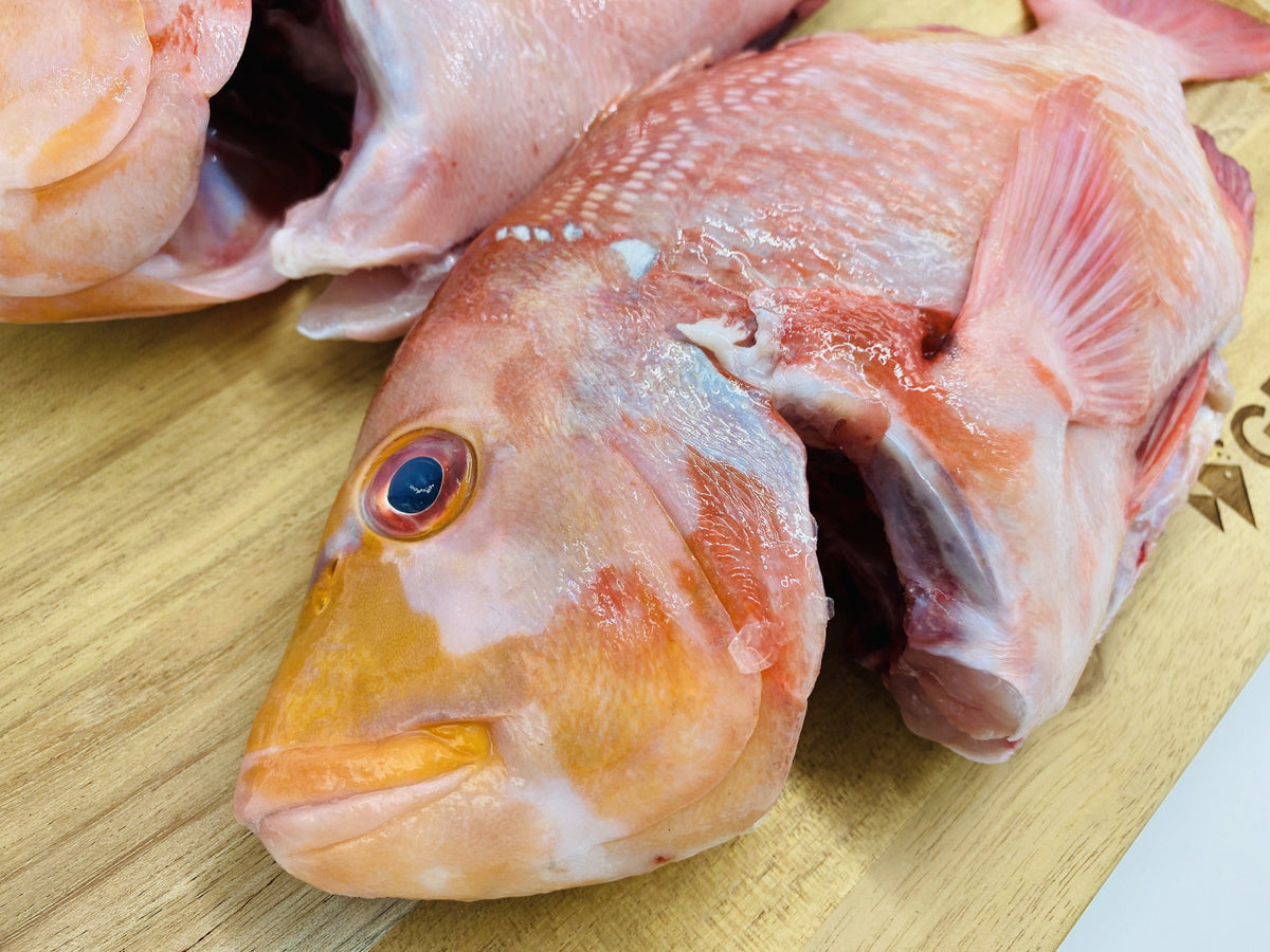 Red Roman Fresh Fish Box Caught in Struisbaai Greenfish