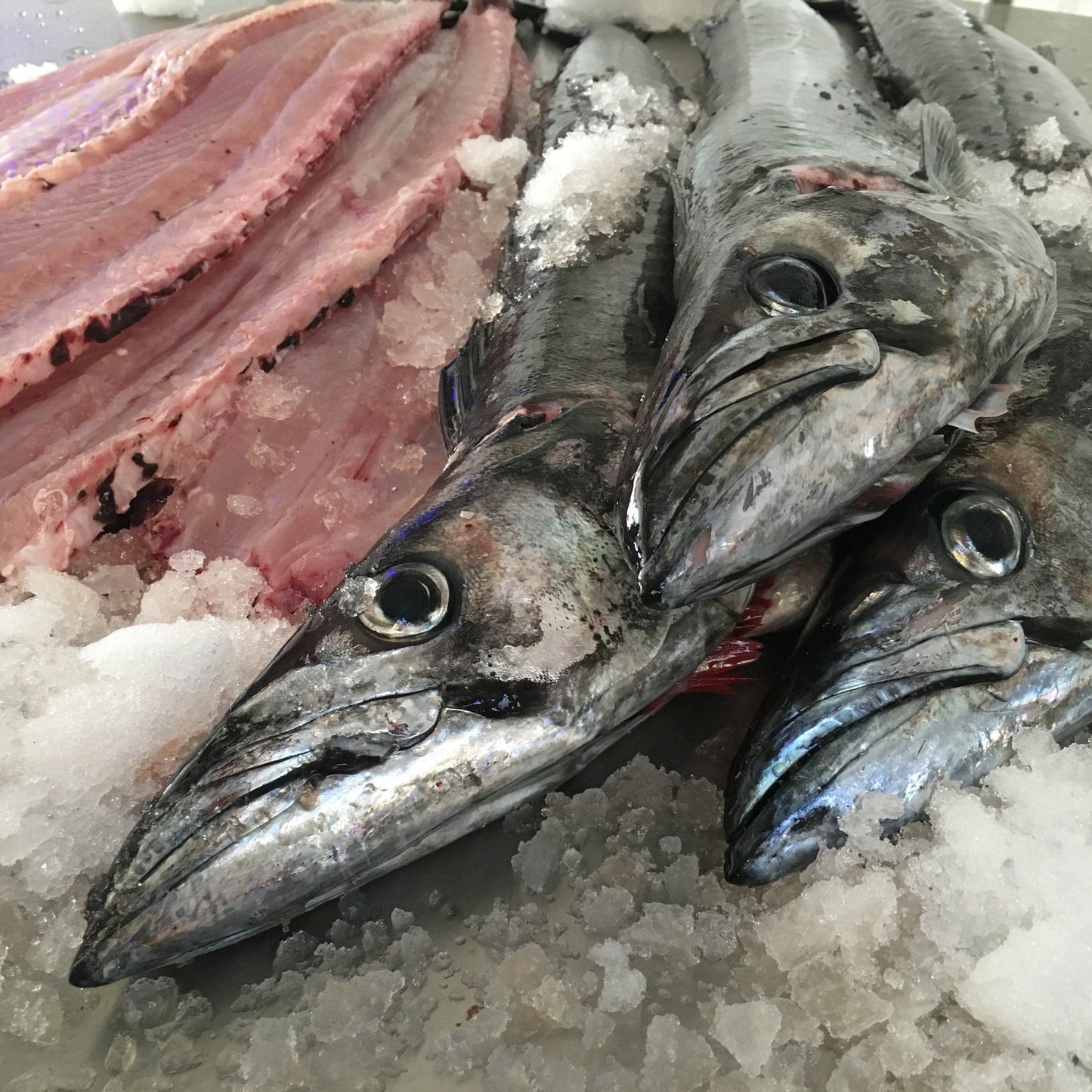 Greenfish