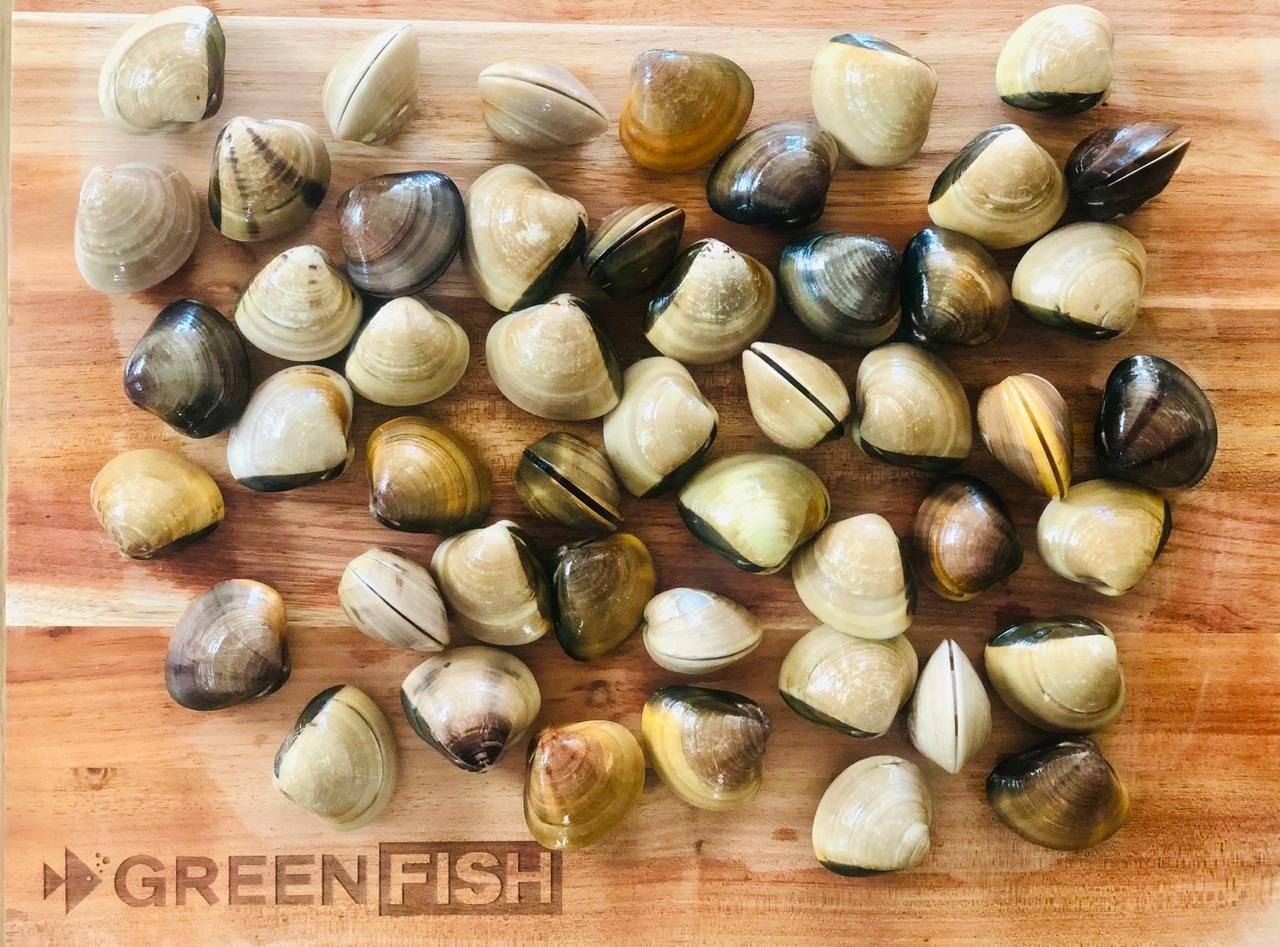 Greenfish