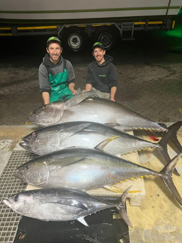 Cape Town Tuna Slam - 4 species on a single day